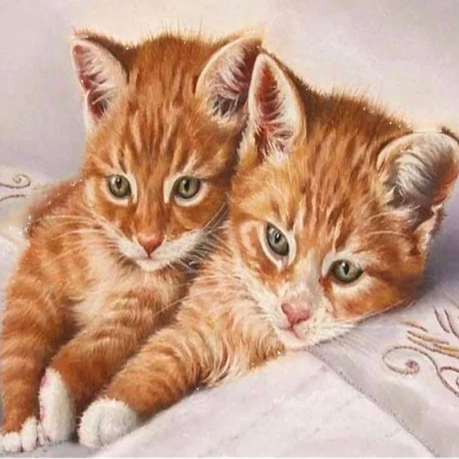 Ginger Kittens Diamond Painting Kit