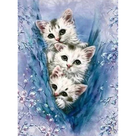 HIding Kittens Diamond Painting Kit
