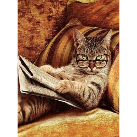 Intellectual Cat Diamond Painting