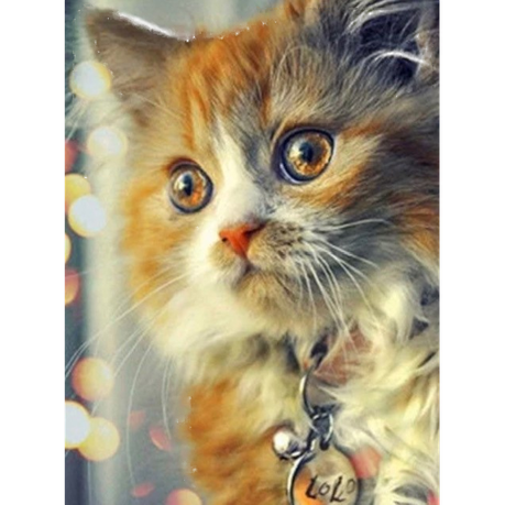 Fluffy Ginger Kitty Diamond Painting Kit